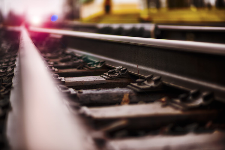 Fiol e Ferrogrão são prioridades em 2020